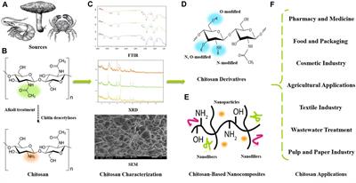 Chitosan, chitosan derivatives, and chitosan-based nanocomposites: eco-friendly materials for advanced applications (a review)